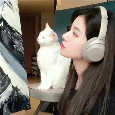 魔法少女小圆